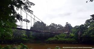 hanging bridge